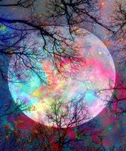 Goodnight Moon - Landscape Paint By Number