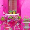 Bicycle In Burano Italy - NEW Paint By Number