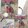 Custom Paint By Numbers​ Pets