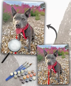 Custom Paint By Numbers​ Pets