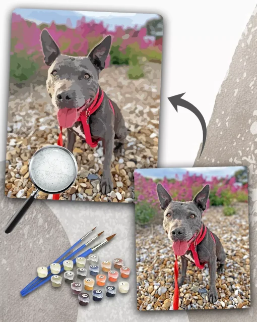 Custom Paint By Numbers​ Pets