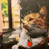 Custom Paint By Numbers​ Pets gall 1