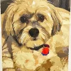 Custom Paint By Numbers​ Pets gall