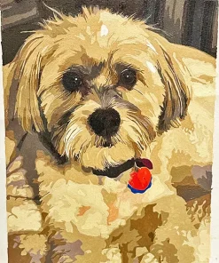 Custom Paint By Numbers​ Pets gall