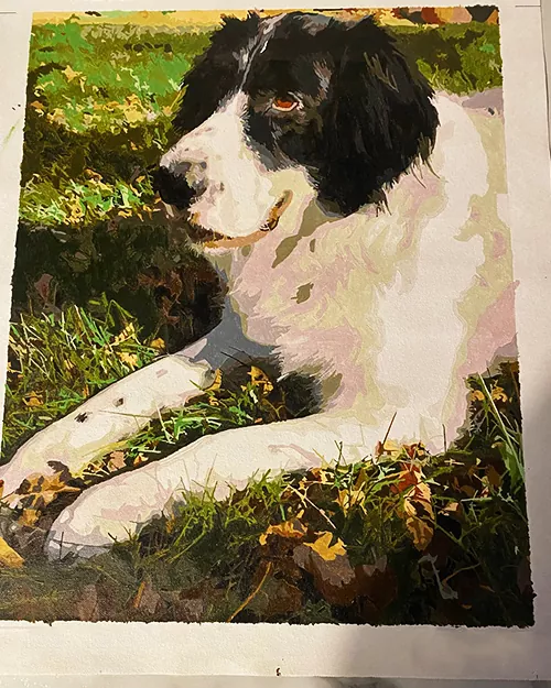 Custom Paint By Numbers​ Pets rev 1