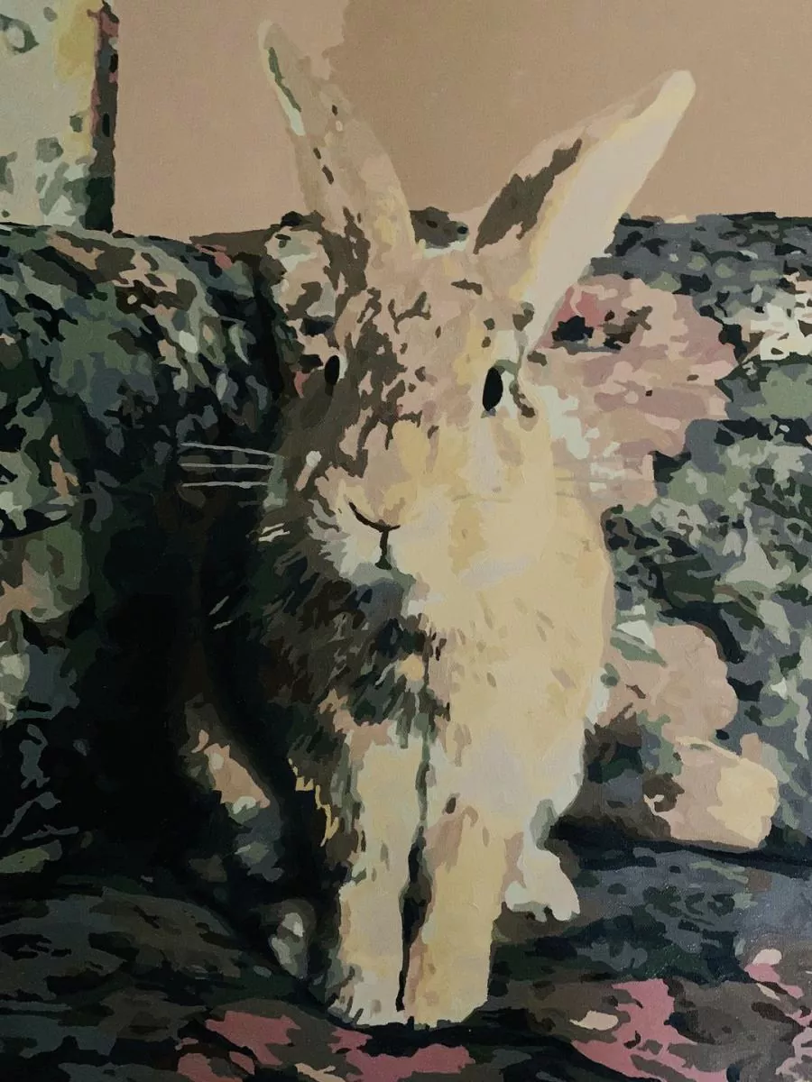 Custom Paint By Numbers​ Pets rev 3