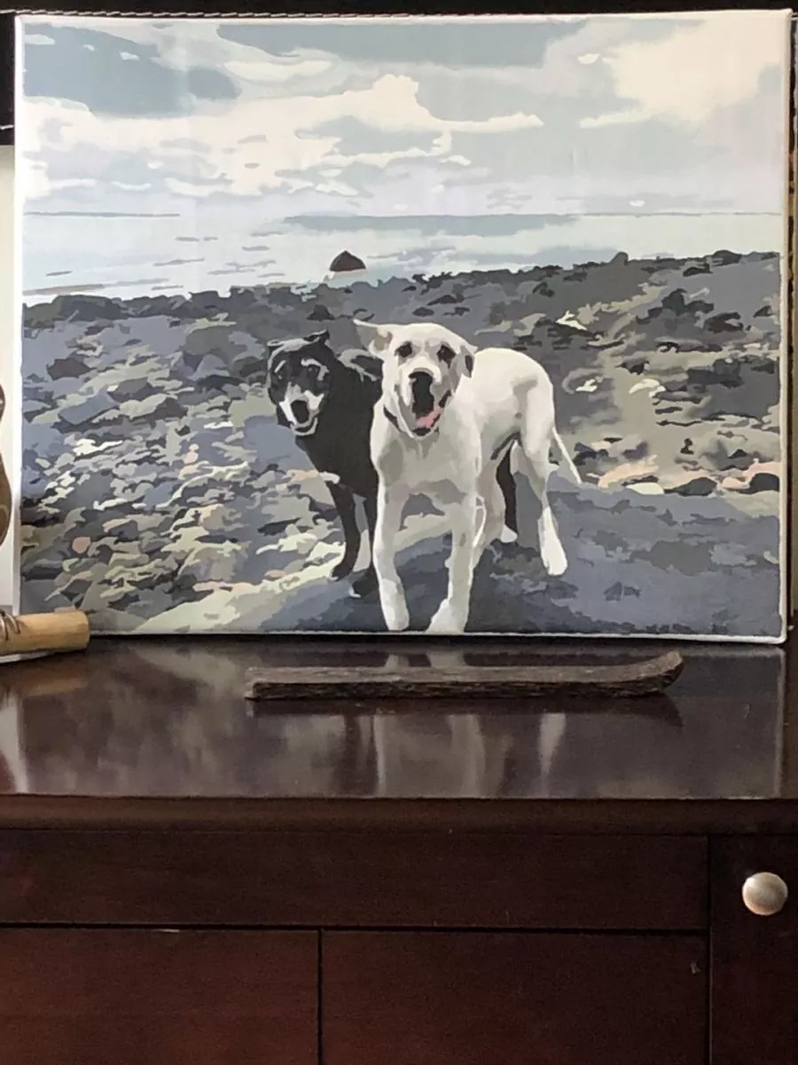 Custom Paint By Numbers​ Pets rev 5