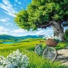 Bicycle And White Flowers Paint By Numbers