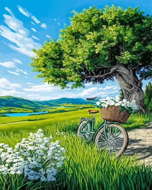 bicycle and white flowers paint by numbers Bicycle And White Flowers Paint By Numbers