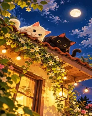 Black And White Cats Paint By Numbers