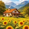 Cozy Cottage And Sunflowers Paint By Numbers